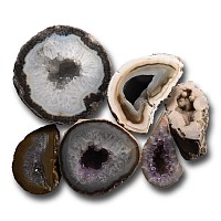 Cut and Polished Agate Crystal Geode Half Collection [6]