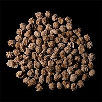 Desert Rose Gypsum Mineral Specimen Group [50]