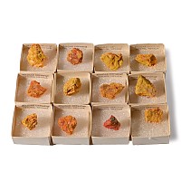 Boxed Realgar Orpiment Mineral Specimen Group [12]