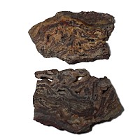 Large Cut and Polished Agate Slice Pair [2]
