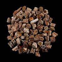 Natural Unpolished Fossil Tree Branch Section Group [100]