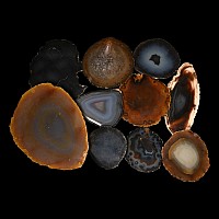 Cut and Polished Agate Geode End Collection [10]