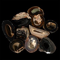 Cut and Polished Agate Crystal Geode Half Collection [10]