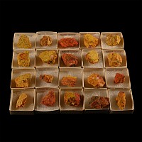 Boxed Realgar Orpiment Mineral Specimen Group [20]