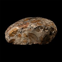 'The Great Horkesley' Late Iron Age Celtic to Early Roman Puddingstone Quern