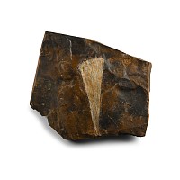 Fossil Ginko Leaf in Matrix