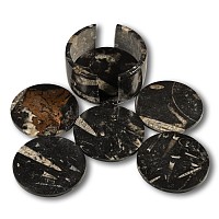 Polished Fossil Orthoceras Coaster Set