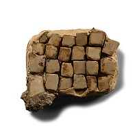 Roman Floor Mosaic Section