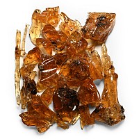Copal Amber Group with Insect Inclusions
