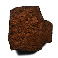 Mesoproterozoic 'String of Beads' Fossil