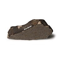 Sulagiri LL6 Chondrite Meteorite End Cut