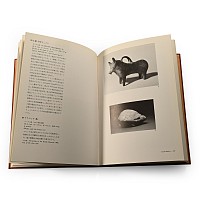Kojiro Ishiguro (ed) - Ancient Terracotta Figures - The Keisuke Tanimura Collection