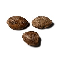 Greek Lead Impacted Slingshot Group