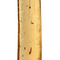 Insects in Copal
