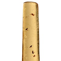 Insects in Copal