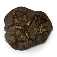 Cut and Polished Septarian Nodule Slice