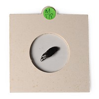 Odessa Fall Meteorite