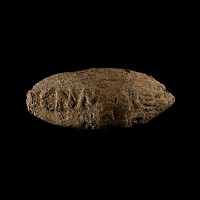Roman Pompey the Great 'Battle of Munda' Lead Slingshot