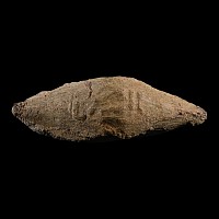 Roman Legion XIII 'Battle of Munda' Lead Slingshot