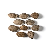 Graeco-Roman Lead Sling Shot Collection