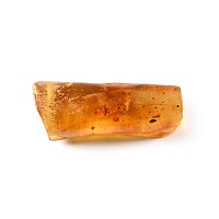 Polished Copal Specimen with Spiders and Flies