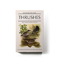 Helm Bird Identification Guide: Thrushes