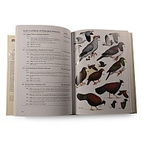 Pigeons and Doves: A Guide to the Pigeons and Doves of the World