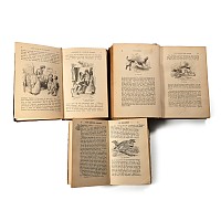 Books on Natural History - 3 Titles