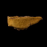 Viking Age Gold 'Hack Money' Section