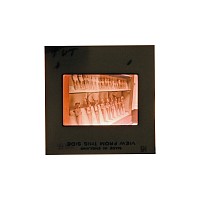 Historic Collection of 615 Slides of Archaeological Objects From Egypt