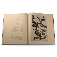 The Original Watercolor Paintings by John James Audubon for The Birds of America - 2 Volumes