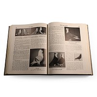 Book - The Pigeon