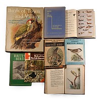 Books on Birds - 8 Titles