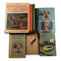 Books on Birds - 8 Titles