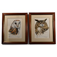 Trevor Boyer - Limited Edition Framed Owl Print Pair