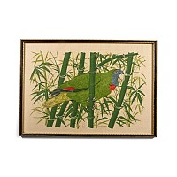 Framed Red-Necked Amazon Parrot on Linen