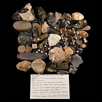 Stone Age Collection of Excavation and Field-Walking Finds From Clacton