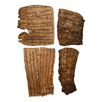 Western Asiatic Vellum Document Group