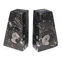 Polished Fossil Goniatite Ammonite Bookend Pair
