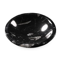 Polished Fossil Orthoceras Bowl