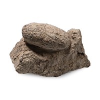 Fossil Crocodile Egg on Matrix