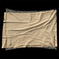Western Asiatic Textile with Gold Embroidery