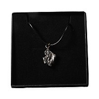 Campo Del Cielo Meteorite Necklace