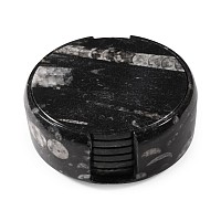 Polished Fossil Orthoceras Coaster Set