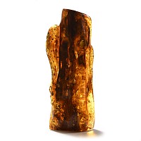 Large Polished Amber Specimen with Insects and Plant Inclusions