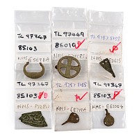 Anglo-Saxon and Viking Artefact Group