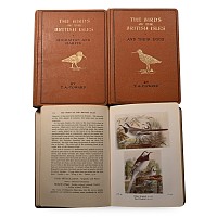 The Birds of the British Isles - Series 1 - 3