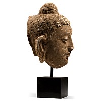 Gandharan Stucco Buddha Head