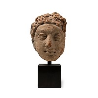 Gandharan Terracotta Buddha Head
