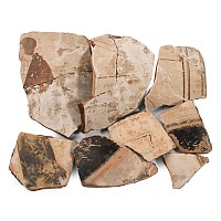 Greek White Ground Pottery Collection